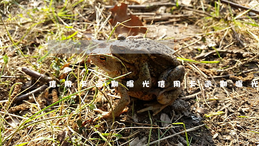 信用卡逾期曝光 信用卡逾期曝光通訊錄