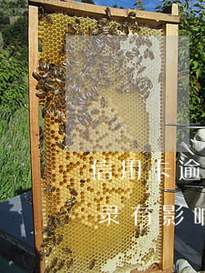 信用卡逾期曝光通讯录(信用卡逾期曝光通讯录有影响吗)