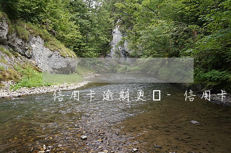信用卡逾期更換-信用卡逾期更換電話號碼