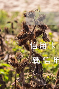 信用卡逾期更換手機(jī)號(hào)碼(信用卡逾期更換手機(jī)號(hào)碼要通知銀行嗎?)