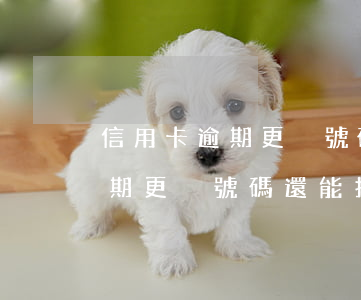 信用卡逾期更換號碼還能找到嗎-信用卡逾期更換號碼還能找到嗎安全嗎