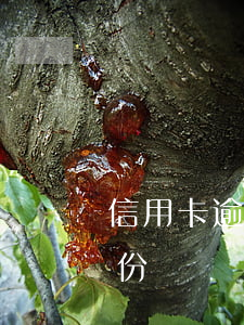信用卡逾期更換身份證嗎(信用卡逾期更換身份證嗎)