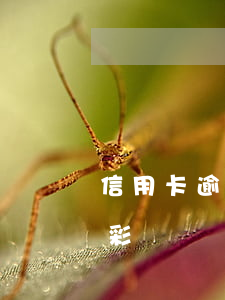 信用卡逾期更改彩鈴(逾期被設(shè)置彩鈴)