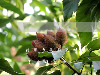 信用卡逾期更新45天(我信用卡逾期40天了有什么影響)