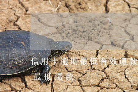 信用卡逾期最低有效還款多少(逾期兩期的卡最低還款)