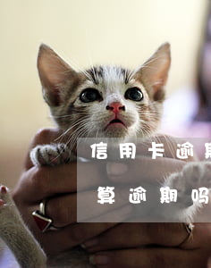 信用卡逾期最低没还能刷卡吗(还最低信用卡算逾期吗)