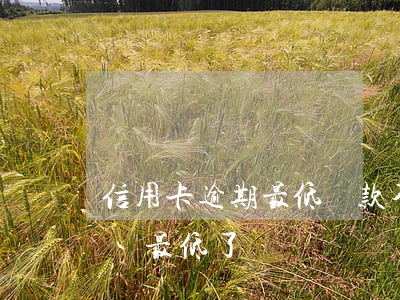 信用卡逾期最低還款不夠(信用卡逾期后不能還最低了嗎)