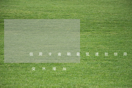 信用卡逾期 最低還款(信用卡逾期最低還款額突然增加)