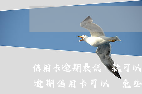 信用卡逾期最低還款可以免息嗎(一次性還清逾期信用卡可以減免些利息嗎)