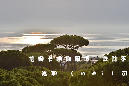 信用卡逾期最低還款能不能再借-在信用卡寬限期內(nèi)可以最低還款嗎