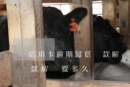 信用卡逾期最低還款解凍(信用卡逾期最低還款解凍要多久)