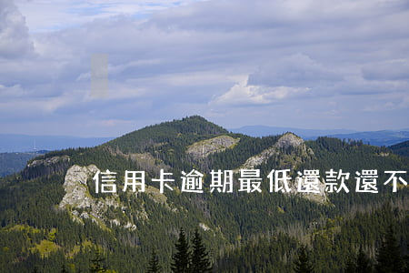 信用卡逾期最低還款還不起