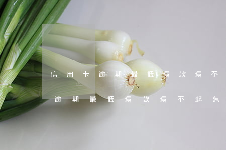 信用卡逾期最低還款還不起怎么辦-信用卡逾期最低還款還不起怎么辦呢