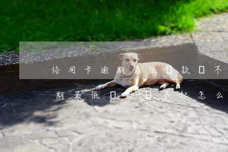 信用卡逾期最低還款還不起怎么辦(信用卡逾期最低還款還不起怎么辦)