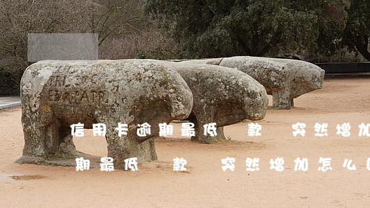 信用卡逾期最低還款額突然增加-信用卡逾期最低還款額突然增加怎么回事