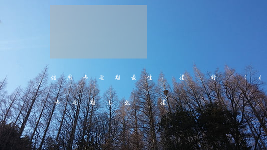 信用卡逾期最佳處理(銀行對(duì)信用卡逾期怎么處理)