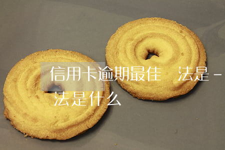 信用卡逾期最佳辦法是-信用卡逾期最佳辦法是什么
