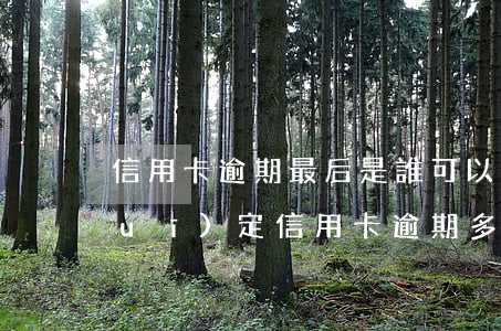 信用卡逾期最后是誰可以起訴(今年新規(guī)定信用卡逾期多久會起訴)
