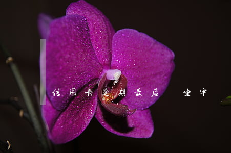 信用卡逾期最后會坐牢嗎