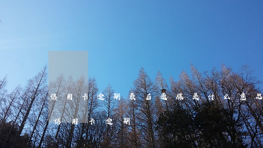 信用卡逾期最后通牒是什么意思(收到信息說信用卡逾期)