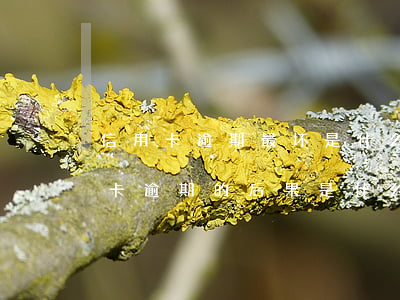 信用卡逾期最坏是什么结果(贷款逾期与信用卡逾期的后果是什么)