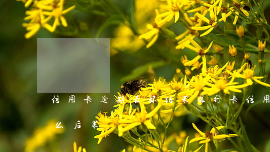信用卡逾期最坏结果(银行卡信用卡逾期有什么后果)
