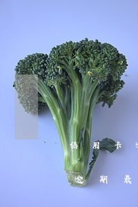 信用卡逾期最壞結(jié)果是啥(信用卡逾期最壞結(jié)果會(huì)怎么樣)