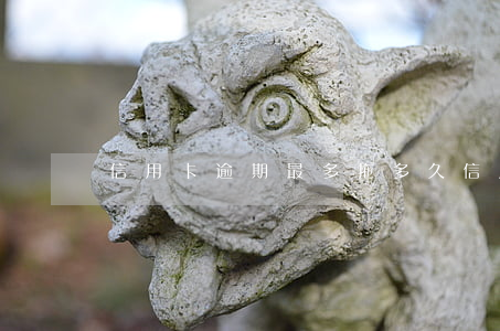 信用卡逾期最多拖多久(信用卡逾期最多幾天)