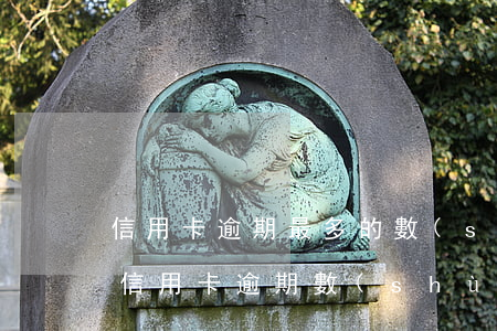 信用卡逾期最多的數(shù)據(jù)(信用卡逾期數(shù)據(jù)2020)