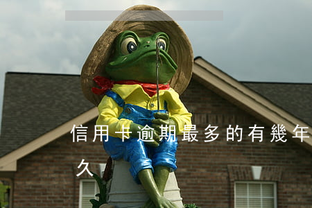 信用卡逾期最多的有幾年(信用卡最多逾期多久)
