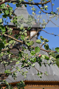 信用卡逾期最多罰多少錢(信用卡逾期會(huì)產(chǎn)生多少費(fèi)用)