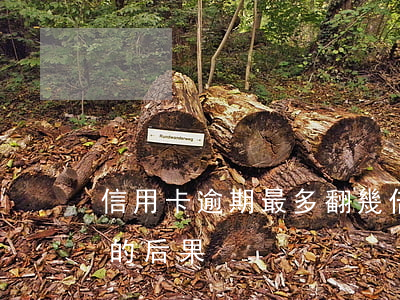 信用卡逾期最多翻幾倍-10張信用卡逾期的后果