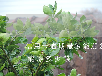 信用卡逾期最多能漲多少錢 信用卡逾期最多能漲多少錢