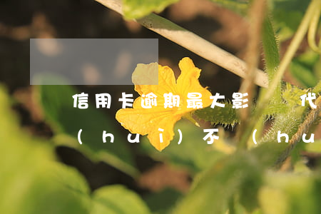 信用卡逾期最大影響幾代人(欠信用卡逾期會(huì)不會(huì)坐牢)