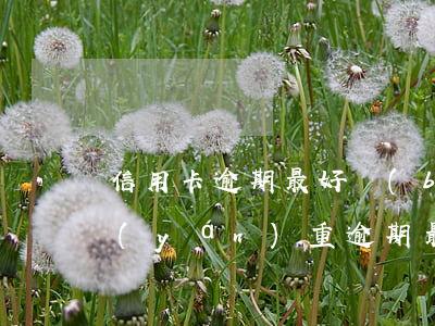 信用卡逾期最好補(bǔ)救方法(信用卡嚴(yán)重逾期最佳處理)