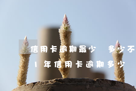 信用卡逾期最少還多少不會被起訴-2021年信用卡逾期多少錢會坐牢