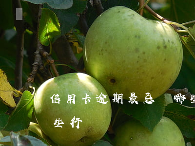 信用卡逾期最忌諱哪些(信用卡逾期最忌諱哪些行為)