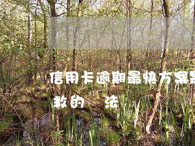 信用卡逾期最快方案是-欠信用卡逾期了自救的辦法