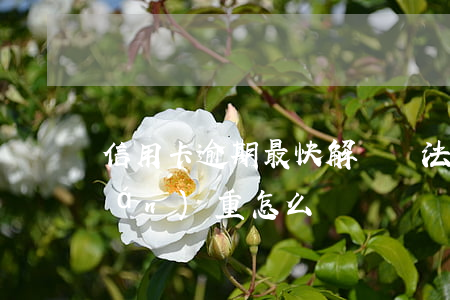 信用卡逾期最快解決辦法(信用卡逾期嚴(yán)重怎么辦)