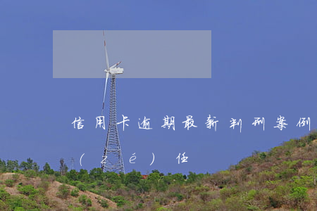 信用卡逾期最新判刑案例(信用卡逾期刑事責(zé)任)