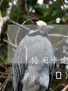 信用卡逾期最新司法解釋(信用卡逾期新規(guī)定)