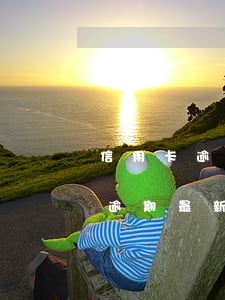 信用卡逾期最新報(bào)道信息（信用卡逾期最新報(bào)道）