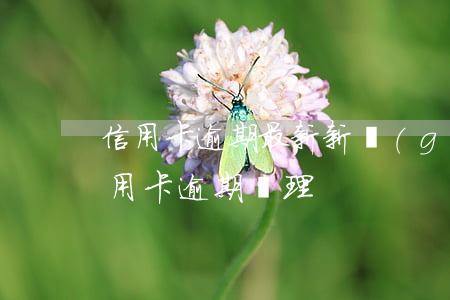 信用卡逾期最新新規(guī)定(最新的信用卡逾期處理)