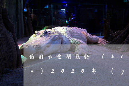 信用卡逾期最新標(biāo)準(zhǔn)(2020年關(guān)于信用卡逾期最新標(biāo)準(zhǔn))