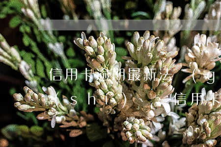 信用卡逾期最新法規(guī)2022時(shí)間-信用卡逾期最新法規(guī)2022時(shí)間限制