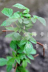 信用卡逾期最新規(guī)定2021(信用卡逾期最新規(guī)定信用卡逾期滯納金判刑)