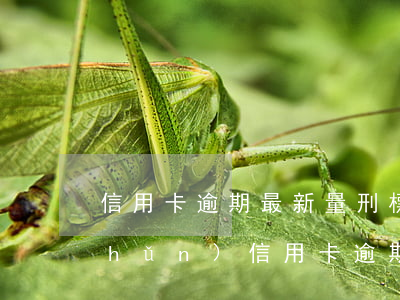 信用卡逾期最新量刑標(biāo)準(zhǔn)(信用卡逾期最高判幾年)