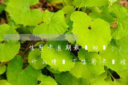 信用卡逾期最終的結(jié)果是什么-什么情況下信用卡會被認(rèn)為嚴(yán)重逾期