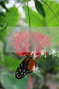 信用卡逾期最終通告(信用卡逾期最終通告還款)
