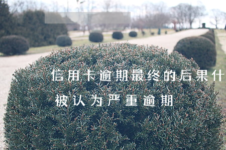 信用卡逾期最终的后果(什么情况下信用卡会被认为严重逾期)